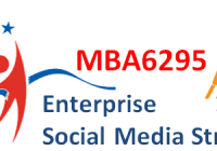 Enterprise Social Media Strategy Course